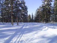 photo by: Petey21, public domain
